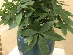 -御仙都北京菜馆·烤鸭店(双井店)