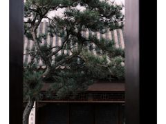 -台儿庄古城