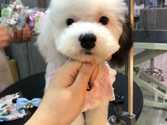 -悠尼宠物·独立低压伊珊娜洗护·美容·寄养(兰谷路店)