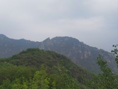 -大岭沟猕猴桃谷风景区