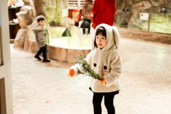 点击看大图 -宝燕乐园(闵行旗舰店)