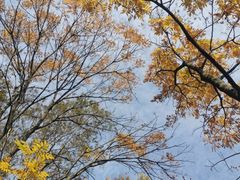 -上海吴淞炮台湾国家湿地公园