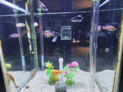 -荆州中山公园动物园