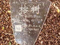 -水围村