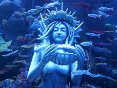 -长沙湘江欢乐雪域