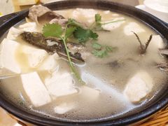 -鑫福楼农家菜