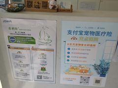 -关爱宠物医院·猫科中心·消化科(滨湖万达分院)