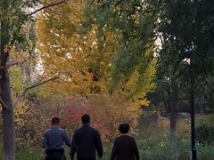 -丰台花园