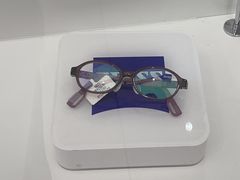-大视光学•LINDBERG林德伯格•全球手工眼镜集合店(王府井店)
