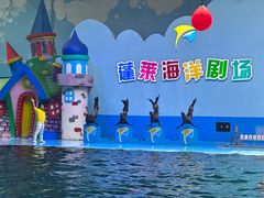 -蓬莱欧乐堡海洋极地世界