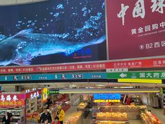 -京樽回転寿司(奥林匹克店)