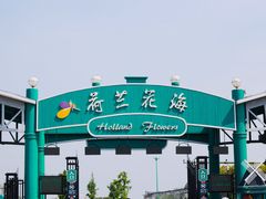-荷兰花海