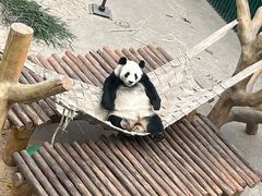 -沈阳森林动物园