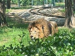 -秦皇岛野生动物园