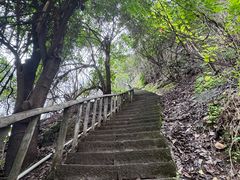 -龙泉洞(沙坪坝区)