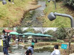 -成飞公园