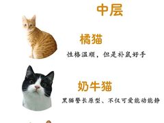 -電力宠物公司(武定路店)