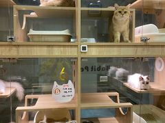 -BABIT巴比特宠物(MOMOPARK店)