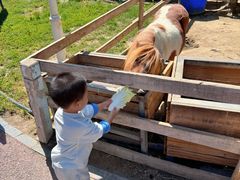 -水上乐园·欢乐世界