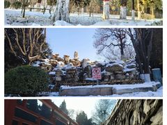 -保定市动物园