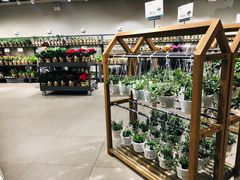 -鹿岛会员店 (龙湖三千集天街店)