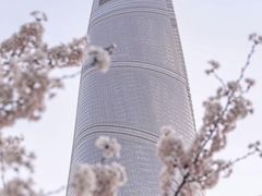 -上海中心大厦