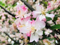 -白鹭湾湿地公园