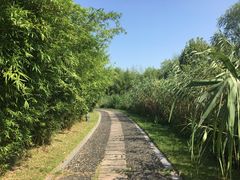 -太阳岛度假酒店