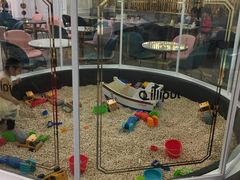 -Lilliput粒粒堡亲子餐厅(置汇旭辉店)