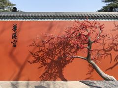 -华清宫景区