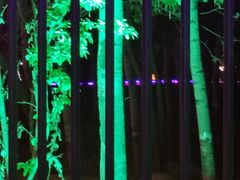 -枫花园汽车电影院(朝阳公园店)
