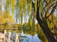 -石家庄市植物园