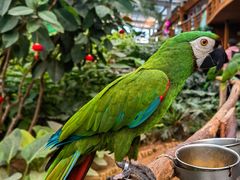 -南宫五洲植物乐园