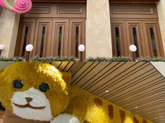 -帕帕拉兹宠物(亚洲旗舰店)