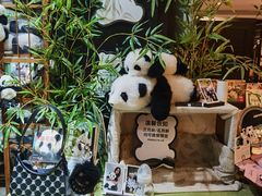 -轩客会(熊猫书店)