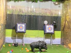 -都市枪神实弹射击俱乐部