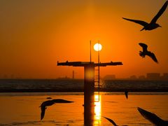 -老虎石海上公园