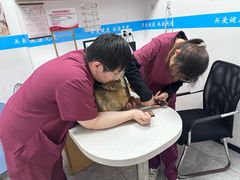 -艾贝尔宠物医院·宠保定点·超声绝育·免疫点(樱花路店)