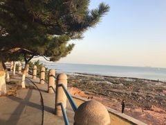 -青岛第二海水浴场