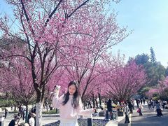 -阿哈湖国家湿地公园