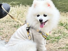 -西北湖绿化广场