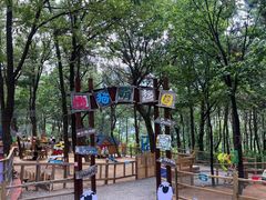 -沂蒙山旅游区云蒙景区(蒙山国家森林公园)