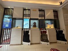 -天猫养车贴膜轻改·蓝电(优匹康桥东路店)