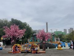 -南湖梦幻岛