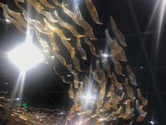 -好彩猪肚鸡(正弘城店)