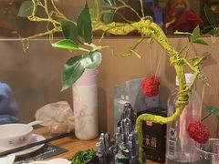 -一朵菌·野生菌探索家火锅(南亚店)