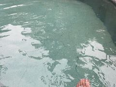 -青城道汤池