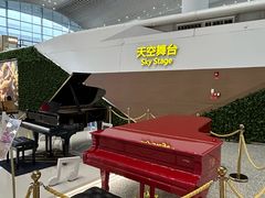 -广州白云国际机场-T2航站楼