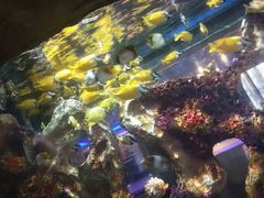 -苏州海洋馆