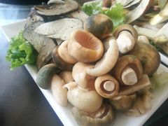 -野菌皇海景野生菌火锅(滨海大道店)